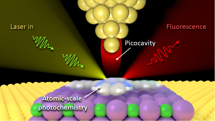 Advanced ERC Grant 2023