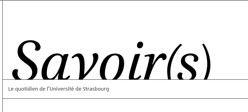 « L’enjeu est de faire se rencontrer les scientifiques qui codent des logiciels de recherche »